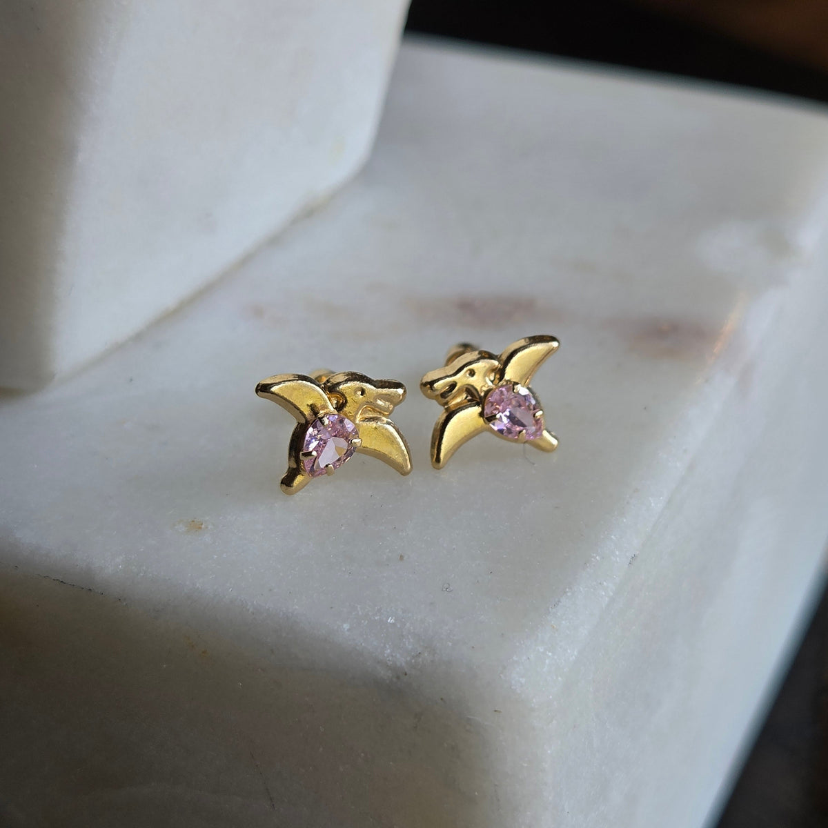 Aretes de Pajarito con Circonia Rosa en Oro 14K
