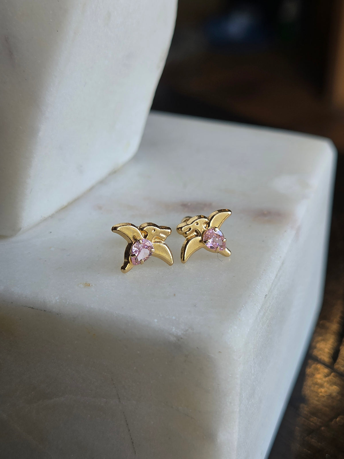 Aretes de Pajarito con Circonia Rosa en Oro 14K